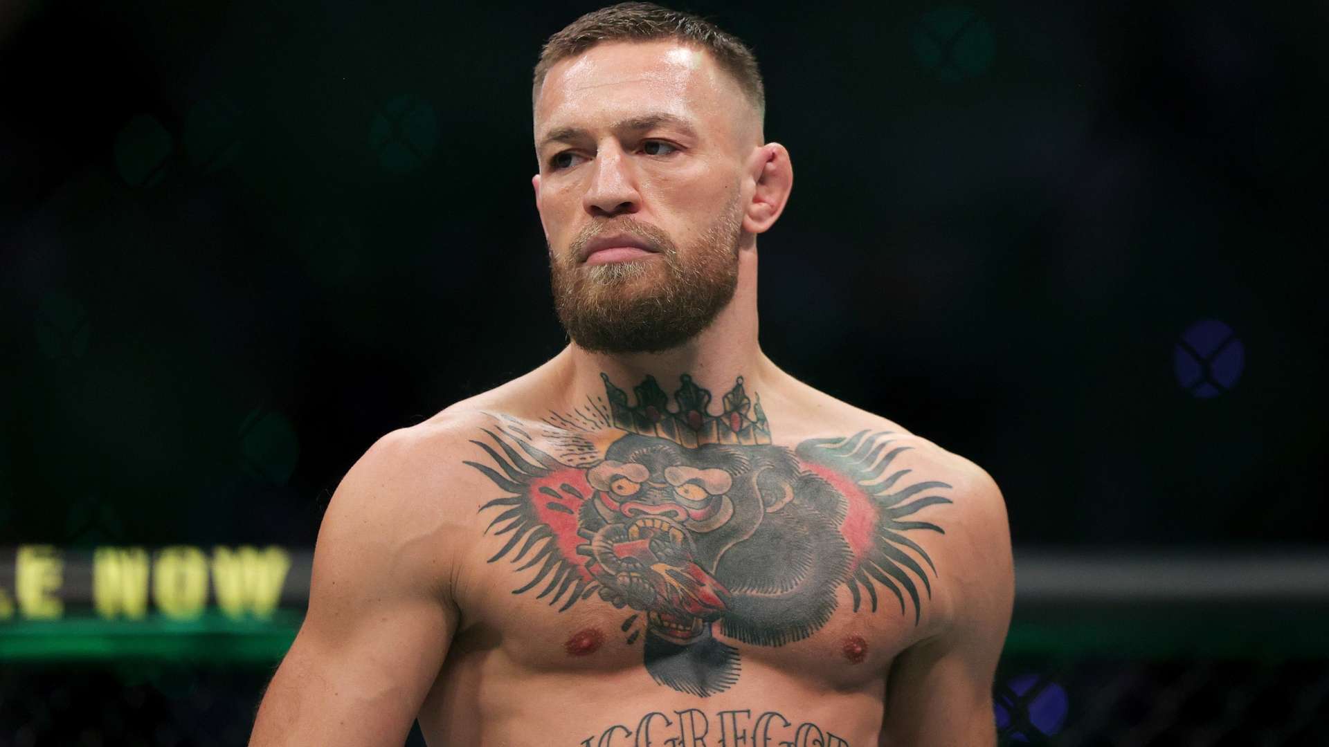 尤其是在关 尤其是在关