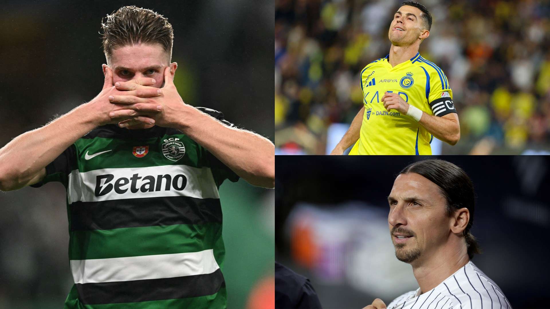 的运动才能 的运动才能